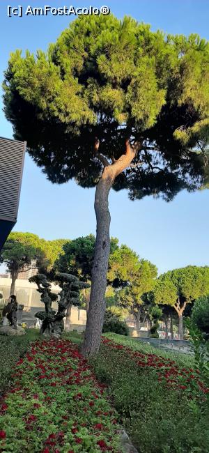 [P42] &Icirc;n fața hotelului . » foto by moraru marian
 - 
<span class="allrVoted glyphicon glyphicon-heart hidden" id="av1182530"></span>
<a class="m-l-10 hidden" id="sv1182530" onclick="voting_Foto_DelVot(,1182530,9610)" role="button">șterge vot <span class="glyphicon glyphicon-remove"></span></a>
<a id="v91182530" class=" c-red"  onclick="voting_Foto_SetVot(1182530)" role="button"><span class="glyphicon glyphicon-heart-empty"></span> <b>LIKE</b> = Votează poza</a> <img class="hidden"  id="f1182530W9" src="/imagini/loader.gif" border="0" /><span class="AjErrMes hidden" id="e1182530ErM"></span>