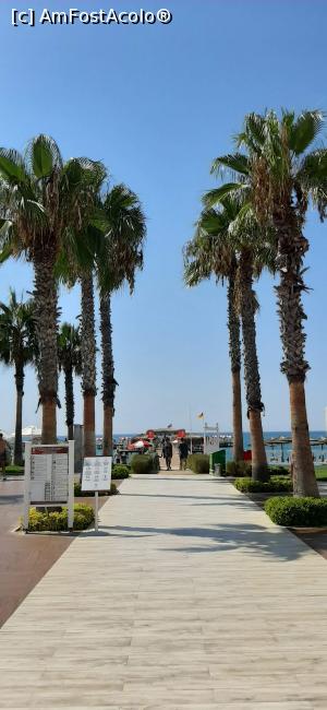 [P05] Drumul către mare . » foto by moraru marian
 - 
<span class="allrVoted glyphicon glyphicon-heart hidden" id="av1182480"></span>
<a class="m-l-10 hidden" id="sv1182480" onclick="voting_Foto_DelVot(,1182480,9610)" role="button">șterge vot <span class="glyphicon glyphicon-remove"></span></a>
<a id="v91182480" class=" c-red"  onclick="voting_Foto_SetVot(1182480)" role="button"><span class="glyphicon glyphicon-heart-empty"></span> <b>LIKE</b> = Votează poza</a> <img class="hidden"  id="f1182480W9" src="/imagini/loader.gif" border="0" /><span class="AjErrMes hidden" id="e1182480ErM"></span>