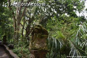 [P03] Sacred Monkey Forest Sanctuary » foto by robert
 - 
<span class="allrVoted glyphicon glyphicon-heart hidden" id="av714813"></span>
<a class="m-l-10 hidden" id="sv714813" onclick="voting_Foto_DelVot(,714813,9617)" role="button">șterge vot <span class="glyphicon glyphicon-remove"></span></a>
<a id="v9714813" class=" c-red"  onclick="voting_Foto_SetVot(714813)" role="button"><span class="glyphicon glyphicon-heart-empty"></span> <b>LIKE</b> = Votează poza</a> <img class="hidden"  id="f714813W9" src="/imagini/loader.gif" border="0" /><span class="AjErrMes hidden" id="e714813ErM"></span>