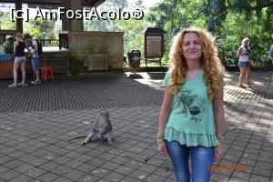 [P13] Monkey forest » foto by geani anto
 - 
<span class="allrVoted glyphicon glyphicon-heart hidden" id="av905484"></span>
<a class="m-l-10 hidden" id="sv905484" onclick="voting_Foto_DelVot(,905484,9617)" role="button">șterge vot <span class="glyphicon glyphicon-remove"></span></a>
<a id="v9905484" class=" c-red"  onclick="voting_Foto_SetVot(905484)" role="button"><span class="glyphicon glyphicon-heart-empty"></span> <b>LIKE</b> = Votează poza</a> <img class="hidden"  id="f905484W9" src="/imagini/loader.gif" border="0" /><span class="AjErrMes hidden" id="e905484ErM"></span>