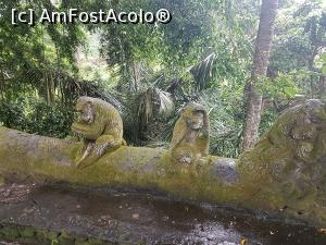 [P03] Monkey Forest » foto by r-Uca
 - 
<span class="allrVoted glyphicon glyphicon-heart hidden" id="av1059102"></span>
<a class="m-l-10 hidden" id="sv1059102" onclick="voting_Foto_DelVot(,1059102,9617)" role="button">șterge vot <span class="glyphicon glyphicon-remove"></span></a>
<a id="v91059102" class=" c-red"  onclick="voting_Foto_SetVot(1059102)" role="button"><span class="glyphicon glyphicon-heart-empty"></span> <b>LIKE</b> = Votează poza</a> <img class="hidden"  id="f1059102W9" src="/imagini/loader.gif" border="0" /><span class="AjErrMes hidden" id="e1059102ErM"></span>