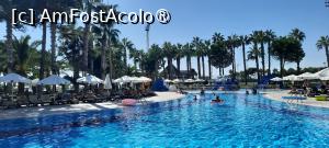 [P24] piscina Selin » foto by artemisa24
 - 
<span class="allrVoted glyphicon glyphicon-heart hidden" id="av1394938"></span>
<a class="m-l-10 hidden" id="sv1394938" onclick="voting_Foto_DelVot(,1394938,9620)" role="button">șterge vot <span class="glyphicon glyphicon-remove"></span></a>
<a id="v91394938" class=" c-red"  onclick="voting_Foto_SetVot(1394938)" role="button"><span class="glyphicon glyphicon-heart-empty"></span> <b>LIKE</b> = Votează poza</a> <img class="hidden"  id="f1394938W9" src="/imagini/loader.gif" border="0" /><span class="AjErrMes hidden" id="e1394938ErM"></span>