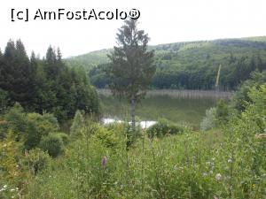[P10] Lacul Cuejdel - cel mai tânăr lac de baraj natural din România. » foto by iulianic
 - 
<span class="allrVoted glyphicon glyphicon-heart hidden" id="av1182296"></span>
<a class="m-l-10 hidden" id="sv1182296" onclick="voting_Foto_DelVot(,1182296,9631)" role="button">șterge vot <span class="glyphicon glyphicon-remove"></span></a>
<a id="v91182296" class=" c-red"  onclick="voting_Foto_SetVot(1182296)" role="button"><span class="glyphicon glyphicon-heart-empty"></span> <b>LIKE</b> = Votează poza</a> <img class="hidden"  id="f1182296W9" src="/imagini/loader.gif" border="0" /><span class="AjErrMes hidden" id="e1182296ErM"></span>