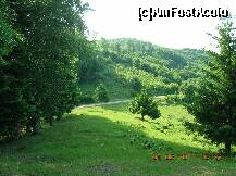 [P11] Drumul Slătioara - Bogata la cumpăna apelor, privit din apropierea punctului de belvedere (care se află în spatele meu) » foto by Qvadratvus
 - 
<span class="allrVoted glyphicon glyphicon-heart hidden" id="av206427"></span>
<a class="m-l-10 hidden" id="sv206427" onclick="voting_Foto_DelVot(,206427,9631)" role="button">șterge vot <span class="glyphicon glyphicon-remove"></span></a>
<a id="v9206427" class=" c-red"  onclick="voting_Foto_SetVot(206427)" role="button"><span class="glyphicon glyphicon-heart-empty"></span> <b>LIKE</b> = Votează poza</a> <img class="hidden"  id="f206427W9" src="/imagini/loader.gif" border="0" /><span class="AjErrMes hidden" id="e206427ErM"></span>
