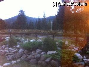 [P01] fotografie facuta din camera » foto by ozzydin
 - 
<span class="allrVoted glyphicon glyphicon-heart hidden" id="av377321"></span>
<a class="m-l-10 hidden" id="sv377321" onclick="voting_Foto_DelVot(,377321,9635)" role="button">șterge vot <span class="glyphicon glyphicon-remove"></span></a>
<a id="v9377321" class=" c-red"  onclick="voting_Foto_SetVot(377321)" role="button"><span class="glyphicon glyphicon-heart-empty"></span> <b>LIKE</b> = Votează poza</a> <img class="hidden"  id="f377321W9" src="/imagini/loader.gif" border="0" /><span class="AjErrMes hidden" id="e377321ErM"></span>