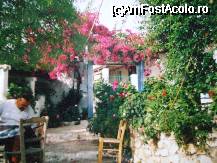 [P02] mica taverna in varf de munte, acasa la 2 batranele » foto by Cristian_h
 - 
<span class="allrVoted glyphicon glyphicon-heart hidden" id="av32263"></span>
<a class="m-l-10 hidden" id="sv32263" onclick="voting_Foto_DelVot(,32263,9636)" role="button">șterge vot <span class="glyphicon glyphicon-remove"></span></a>
<a id="v932263" class=" c-red"  onclick="voting_Foto_SetVot(32263)" role="button"><span class="glyphicon glyphicon-heart-empty"></span> <b>LIKE</b> = Votează poza</a> <img class="hidden"  id="f32263W9" src="/imagini/loader.gif" border="0" /><span class="AjErrMes hidden" id="e32263ErM"></span>