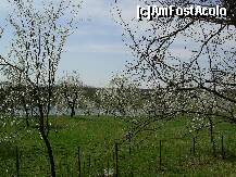 [P19] Manastirea Caldarusani - Primavara. » foto by iulianic
 - 
<span class="allrVoted glyphicon glyphicon-heart hidden" id="av234577"></span>
<a class="m-l-10 hidden" id="sv234577" onclick="voting_Foto_DelVot(,234577,9639)" role="button">șterge vot <span class="glyphicon glyphicon-remove"></span></a>
<a id="v9234577" class=" c-red"  onclick="voting_Foto_SetVot(234577)" role="button"><span class="glyphicon glyphicon-heart-empty"></span> <b>LIKE</b> = Votează poza</a> <img class="hidden"  id="f234577W9" src="/imagini/loader.gif" border="0" /><span class="AjErrMes hidden" id="e234577ErM"></span>