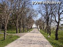 [P04] Drumul ce duce spre intrarea în mănăstirea Căldăruşani » foto by Costi
 - 
<span class="allrVoted glyphicon glyphicon-heart hidden" id="av44674"></span>
<a class="m-l-10 hidden" id="sv44674" onclick="voting_Foto_DelVot(,44674,9639)" role="button">șterge vot <span class="glyphicon glyphicon-remove"></span></a>
<a id="v944674" class=" c-red"  onclick="voting_Foto_SetVot(44674)" role="button"><span class="glyphicon glyphicon-heart-empty"></span> <b>LIKE</b> = Votează poza</a> <img class="hidden"  id="f44674W9" src="/imagini/loader.gif" border="0" /><span class="AjErrMes hidden" id="e44674ErM"></span>