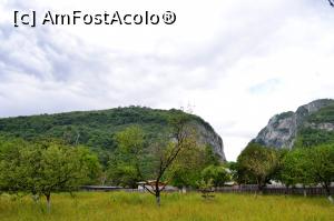 [P08] Cheile Oltețului » foto by AZE
 - 
<span class="allrVoted glyphicon glyphicon-heart hidden" id="av954976"></span>
<a class="m-l-10 hidden" id="sv954976" onclick="voting_Foto_DelVot(,954976,9640)" role="button">șterge vot <span class="glyphicon glyphicon-remove"></span></a>
<a id="v9954976" class=" c-red"  onclick="voting_Foto_SetVot(954976)" role="button"><span class="glyphicon glyphicon-heart-empty"></span> <b>LIKE</b> = Votează poza</a> <img class="hidden"  id="f954976W9" src="/imagini/loader.gif" border="0" /><span class="AjErrMes hidden" id="e954976ErM"></span>