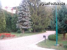 [P19] O alee aflată în incinta mânăstirii. » foto by fluturas1*
 - 
<span class="allrVoted glyphicon glyphicon-heart hidden" id="av122141"></span>
<a class="m-l-10 hidden" id="sv122141" onclick="voting_Foto_DelVot(,122141,9642)" role="button">șterge vot <span class="glyphicon glyphicon-remove"></span></a>
<a id="v9122141" class=" c-red"  onclick="voting_Foto_SetVot(122141)" role="button"><span class="glyphicon glyphicon-heart-empty"></span> <b>LIKE</b> = Votează poza</a> <img class="hidden"  id="f122141W9" src="/imagini/loader.gif" border="0" /><span class="AjErrMes hidden" id="e122141ErM"></span>