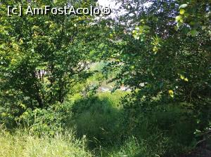 [P22] Pe Argeș în jos, pe un mal frumos, Curtea de Argeș » foto by Mioritik
 - 
<span class="allrVoted glyphicon glyphicon-heart hidden" id="av1260873"></span>
<a class="m-l-10 hidden" id="sv1260873" onclick="voting_Foto_DelVot(,1260873,9642)" role="button">șterge vot <span class="glyphicon glyphicon-remove"></span></a>
<a id="v91260873" class=" c-red"  onclick="voting_Foto_SetVot(1260873)" role="button"><span class="glyphicon glyphicon-heart-empty"></span> <b>LIKE</b> = Votează poza</a> <img class="hidden"  id="f1260873W9" src="/imagini/loader.gif" border="0" /><span class="AjErrMes hidden" id="e1260873ErM"></span>
