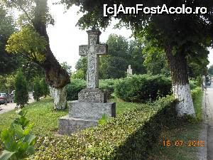 [P11] Mănăstirea Curtea de Argeș - Pe marginea aleii care duce la intrare.  » foto by iulianic
 - 
<span class="allrVoted glyphicon glyphicon-heart hidden" id="av700305"></span>
<a class="m-l-10 hidden" id="sv700305" onclick="voting_Foto_DelVot(,700305,9642)" role="button">șterge vot <span class="glyphicon glyphicon-remove"></span></a>
<a id="v9700305" class=" c-red"  onclick="voting_Foto_SetVot(700305)" role="button"><span class="glyphicon glyphicon-heart-empty"></span> <b>LIKE</b> = Votează poza</a> <img class="hidden"  id="f700305W9" src="/imagini/loader.gif" border="0" /><span class="AjErrMes hidden" id="e700305ErM"></span>