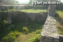 [P05] balariile acopera istoria!  » foto by danette*
 - 
<span class="allrVoted glyphicon glyphicon-heart hidden" id="av461232"></span>
<a class="m-l-10 hidden" id="sv461232" onclick="voting_Foto_DelVot(,461232,9642)" role="button">șterge vot <span class="glyphicon glyphicon-remove"></span></a>
<a id="v9461232" class=" c-red"  onclick="voting_Foto_SetVot(461232)" role="button"><span class="glyphicon glyphicon-heart-empty"></span> <b>LIKE</b> = Votează poza</a> <img class="hidden"  id="f461232W9" src="/imagini/loader.gif" border="0" /><span class="AjErrMes hidden" id="e461232ErM"></span>