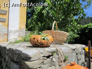 [P19] ne pregatim de halloween » foto by zlatna
 - 
<span class="allrVoted glyphicon glyphicon-heart hidden" id="av801128"></span>
<a class="m-l-10 hidden" id="sv801128" onclick="voting_Foto_DelVot(,801128,9643)" role="button">șterge vot <span class="glyphicon glyphicon-remove"></span></a>
<a id="v9801128" class=" c-red"  onclick="voting_Foto_SetVot(801128)" role="button"><span class="glyphicon glyphicon-heart-empty"></span> <b>LIKE</b> = Votează poza</a> <img class="hidden"  id="f801128W9" src="/imagini/loader.gif" border="0" /><span class="AjErrMes hidden" id="e801128ErM"></span>