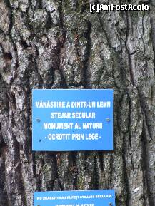 [P08] in sfarsit o lege buna! » foto by recul*
 - 
<span class="allrVoted glyphicon glyphicon-heart hidden" id="av133144"></span>
<a class="m-l-10 hidden" id="sv133144" onclick="voting_Foto_DelVot(,133144,9645)" role="button">șterge vot <span class="glyphicon glyphicon-remove"></span></a>
<a id="v9133144" class=" c-red"  onclick="voting_Foto_SetVot(133144)" role="button"><span class="glyphicon glyphicon-heart-empty"></span> <b>LIKE</b> = Votează poza</a> <img class="hidden"  id="f133144W9" src="/imagini/loader.gif" border="0" /><span class="AjErrMes hidden" id="e133144ErM"></span>