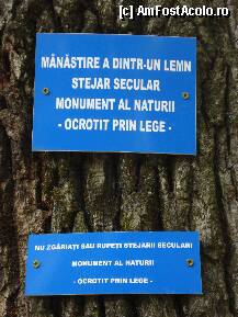 [P11] Tablita explicativa de pe un stejar secular. » foto by vtudor58
 - 
<span class="allrVoted glyphicon glyphicon-heart hidden" id="av78417"></span>
<a class="m-l-10 hidden" id="sv78417" onclick="voting_Foto_DelVot(,78417,9645)" role="button">șterge vot <span class="glyphicon glyphicon-remove"></span></a>
<a id="v978417" class=" c-red"  onclick="voting_Foto_SetVot(78417)" role="button"><span class="glyphicon glyphicon-heart-empty"></span> <b>LIKE</b> = Votează poza</a> <img class="hidden"  id="f78417W9" src="/imagini/loader.gif" border="0" /><span class="AjErrMes hidden" id="e78417ErM"></span>