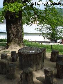 [P13] Masa cu scaunele din lemn de langa stejarii seculari. » foto by vtudor58
 - 
<span class="allrVoted glyphicon glyphicon-heart hidden" id="av78419"></span>
<a class="m-l-10 hidden" id="sv78419" onclick="voting_Foto_DelVot(,78419,9645)" role="button">șterge vot <span class="glyphicon glyphicon-remove"></span></a>
<a id="v978419" class=" c-red"  onclick="voting_Foto_SetVot(78419)" role="button"><span class="glyphicon glyphicon-heart-empty"></span> <b>LIKE</b> = Votează poza</a> <img class="hidden"  id="f78419W9" src="/imagini/loader.gif" border="0" /><span class="AjErrMes hidden" id="e78419ErM"></span>