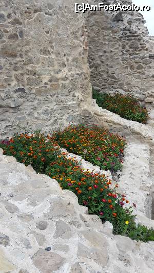 [P05] Cetatea Rupea » foto by ccbg*
 - 
<span class="allrVoted glyphicon glyphicon-heart hidden" id="av693194"></span>
<a class="m-l-10 hidden" id="sv693194" onclick="voting_Foto_DelVot(,693194,9653)" role="button">șterge vot <span class="glyphicon glyphicon-remove"></span></a>
<a id="v9693194" class=" c-red"  onclick="voting_Foto_SetVot(693194)" role="button"><span class="glyphicon glyphicon-heart-empty"></span> <b>LIKE</b> = Votează poza</a> <img class="hidden"  id="f693194W9" src="/imagini/loader.gif" border="0" /><span class="AjErrMes hidden" id="e693194ErM"></span>
