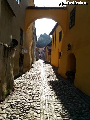 [P21] Te asteptam pe strada boltita, in loc pustiu, pana cand, spre seara, apareai, intr-un tarziu...  » foto by dorgo
 - 
<span class="allrVoted glyphicon glyphicon-heart hidden" id="av618122"></span>
<a class="m-l-10 hidden" id="sv618122" onclick="voting_Foto_DelVot(,618122,9653)" role="button">șterge vot <span class="glyphicon glyphicon-remove"></span></a>
<a id="v9618122" class=" c-red"  onclick="voting_Foto_SetVot(618122)" role="button"><span class="glyphicon glyphicon-heart-empty"></span> <b>LIKE</b> = Votează poza</a> <img class="hidden"  id="f618122W9" src="/imagini/loader.gif" border="0" /><span class="AjErrMes hidden" id="e618122ErM"></span>