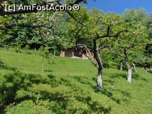 [P14] Livada schitului Cioclovina de Jos. » foto by DanTal74
 - 
<span class="allrVoted glyphicon glyphicon-heart hidden" id="av733066"></span>
<a class="m-l-10 hidden" id="sv733066" onclick="voting_Foto_DelVot(,733066,9654)" role="button">șterge vot <span class="glyphicon glyphicon-remove"></span></a>
<a id="v9733066" class=" c-red"  onclick="voting_Foto_SetVot(733066)" role="button"><span class="glyphicon glyphicon-heart-empty"></span> <b>LIKE</b> = Votează poza</a> <img class="hidden"  id="f733066W9" src="/imagini/loader.gif" border="0" /><span class="AjErrMes hidden" id="e733066ErM"></span>