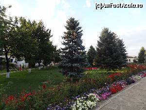 [P07] Un tărâm binecuvăntat al arborilor ornamentali şi al coniferelor » foto by Marian Preda
 - 
<span class="allrVoted glyphicon glyphicon-heart hidden" id="av592248"></span>
<a class="m-l-10 hidden" id="sv592248" onclick="voting_Foto_DelVot(,592248,9671)" role="button">șterge vot <span class="glyphicon glyphicon-remove"></span></a>
<a id="v9592248" class=" c-red"  onclick="voting_Foto_SetVot(592248)" role="button"><span class="glyphicon glyphicon-heart-empty"></span> <b>LIKE</b> = Votează poza</a> <img class="hidden"  id="f592248W9" src="/imagini/loader.gif" border="0" /><span class="AjErrMes hidden" id="e592248ErM"></span>