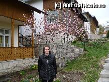 [P01] Căsuţa în care am dormit din curtea bisericii » foto by STEFAN I
 - 
<span class="allrVoted glyphicon glyphicon-heart hidden" id="av196211"></span>
<a class="m-l-10 hidden" id="sv196211" onclick="voting_Foto_DelVot(,196211,9673)" role="button">șterge vot <span class="glyphicon glyphicon-remove"></span></a>
<a id="v9196211" class=" c-red"  onclick="voting_Foto_SetVot(196211)" role="button"><span class="glyphicon glyphicon-heart-empty"></span> <b>LIKE</b> = Votează poza</a> <img class="hidden"  id="f196211W9" src="/imagini/loader.gif" border="0" /><span class="AjErrMes hidden" id="e196211ErM"></span>
