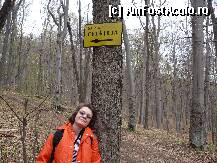 [P04] Spre schit prin pădure » foto by STEFAN I
 - 
<span class="allrVoted glyphicon glyphicon-heart hidden" id="av196215"></span>
<a class="m-l-10 hidden" id="sv196215" onclick="voting_Foto_DelVot(,196215,9673)" role="button">șterge vot <span class="glyphicon glyphicon-remove"></span></a>
<a id="v9196215" class=" c-red"  onclick="voting_Foto_SetVot(196215)" role="button"><span class="glyphicon glyphicon-heart-empty"></span> <b>LIKE</b> = Votează poza</a> <img class="hidden"  id="f196215W9" src="/imagini/loader.gif" border="0" /><span class="AjErrMes hidden" id="e196215ErM"></span>