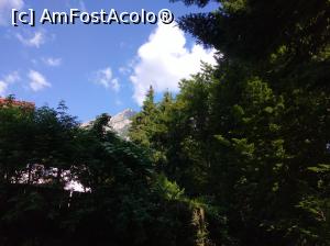 [P19] Lângă Mănăstirea Caraiman, Bușteni » foto by Mioritik
 - 
<span class="allrVoted glyphicon glyphicon-heart hidden" id="av1234538"></span>
<a class="m-l-10 hidden" id="sv1234538" onclick="voting_Foto_DelVot(,1234538,9680)" role="button">șterge vot <span class="glyphicon glyphicon-remove"></span></a>
<a id="v91234538" class=" c-red"  onclick="voting_Foto_SetVot(1234538)" role="button"><span class="glyphicon glyphicon-heart-empty"></span> <b>LIKE</b> = Votează poza</a> <img class="hidden"  id="f1234538W9" src="/imagini/loader.gif" border="0" /><span class="AjErrMes hidden" id="e1234538ErM"></span>