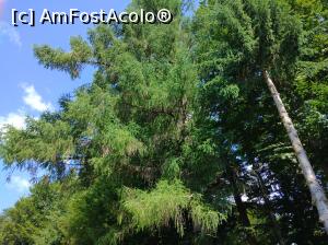 [P23] Mănăstirea Caraiman, Bușteni, ambient » foto by Mioritik
 - 
<span class="allrVoted glyphicon glyphicon-heart hidden" id="av1234542"></span>
<a class="m-l-10 hidden" id="sv1234542" onclick="voting_Foto_DelVot(,1234542,9680)" role="button">șterge vot <span class="glyphicon glyphicon-remove"></span></a>
<a id="v91234542" class=" c-red"  onclick="voting_Foto_SetVot(1234542)" role="button"><span class="glyphicon glyphicon-heart-empty"></span> <b>LIKE</b> = Votează poza</a> <img class="hidden"  id="f1234542W9" src="/imagini/loader.gif" border="0" /><span class="AjErrMes hidden" id="e1234542ErM"></span>