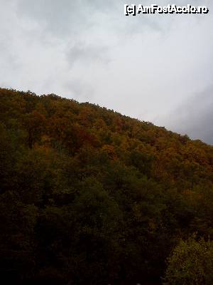 [P03] culori de toamna din excursie » foto by diana-camelia*
 - 
<span class="allrVoted glyphicon glyphicon-heart hidden" id="av449058"></span>
<a class="m-l-10 hidden" id="sv449058" onclick="voting_Foto_DelVot(,449058,9681)" role="button">șterge vot <span class="glyphicon glyphicon-remove"></span></a>
<a id="v9449058" class=" c-red"  onclick="voting_Foto_SetVot(449058)" role="button"><span class="glyphicon glyphicon-heart-empty"></span> <b>LIKE</b> = Votează poza</a> <img class="hidden"  id="f449058W9" src="/imagini/loader.gif" border="0" /><span class="AjErrMes hidden" id="e449058ErM"></span>