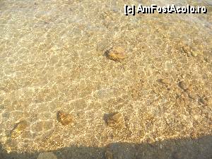 [P13] intrarea in mare, intr-o zona mai retrasa » foto by lari geo
 - 
<span class="allrVoted glyphicon glyphicon-heart hidden" id="av353968"></span>
<a class="m-l-10 hidden" id="sv353968" onclick="voting_Foto_DelVot(,353968,9720)" role="button">șterge vot <span class="glyphicon glyphicon-remove"></span></a>
<a id="v9353968" class=" c-red"  onclick="voting_Foto_SetVot(353968)" role="button"><span class="glyphicon glyphicon-heart-empty"></span> <b>LIKE</b> = Votează poza</a> <img class="hidden"  id="f353968W9" src="/imagini/loader.gif" border="0" /><span class="AjErrMes hidden" id="e353968ErM"></span>