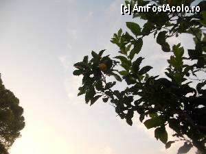 [P04]  -- <small>// FĂRĂ DESCRIERE</small> » foto by lari geo
 - 
<span class="allrVoted glyphicon glyphicon-heart hidden" id="av353857"></span>
<a class="m-l-10 hidden" id="sv353857" onclick="voting_Foto_DelVot(,353857,9720)" role="button">șterge vot <span class="glyphicon glyphicon-remove"></span></a>
<a id="v9353857" class=" c-red"  onclick="voting_Foto_SetVot(353857)" role="button"><span class="glyphicon glyphicon-heart-empty"></span> <b>LIKE</b> = Votează poza</a> <img class="hidden"  id="f353857W9" src="/imagini/loader.gif" border="0" /><span class="AjErrMes hidden" id="e353857ErM"></span>