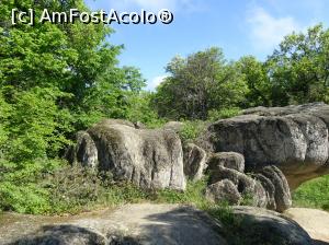 [P46] Sanctuarul tracic Beglik Taş - casa Oracolului » foto by nicole33
 - 
<span class="allrVoted glyphicon glyphicon-heart hidden" id="av964347"></span>
<a class="m-l-10 hidden" id="sv964347" onclick="voting_Foto_DelVot(,964347,9723)" role="button">șterge vot <span class="glyphicon glyphicon-remove"></span></a>
<a id="v9964347" class=" c-red"  onclick="voting_Foto_SetVot(964347)" role="button"><span class="glyphicon glyphicon-heart-empty"></span> <b>LIKE</b> = Votează poza</a> <img class="hidden"  id="f964347W9" src="/imagini/loader.gif" border="0" /><span class="AjErrMes hidden" id="e964347ErM"></span>