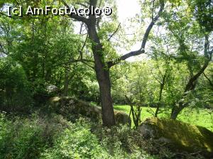 [P55] Sanctuarul tracic Beglik Taş - prin pădure » foto by nicole33
 - 
<span class="allrVoted glyphicon glyphicon-heart hidden" id="av964356"></span>
<a class="m-l-10 hidden" id="sv964356" onclick="voting_Foto_DelVot(,964356,9723)" role="button">șterge vot <span class="glyphicon glyphicon-remove"></span></a>
<a id="v9964356" class=" c-red"  onclick="voting_Foto_SetVot(964356)" role="button"><span class="glyphicon glyphicon-heart-empty"></span> <b>LIKE</b> = Votează poza</a> <img class="hidden"  id="f964356W9" src="/imagini/loader.gif" border="0" /><span class="AjErrMes hidden" id="e964356ErM"></span>
