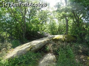 [P56] Sanctuarul tracic Beglik Taş - prin pădure » foto by nicole33
 - 
<span class="allrVoted glyphicon glyphicon-heart hidden" id="av964357"></span>
<a class="m-l-10 hidden" id="sv964357" onclick="voting_Foto_DelVot(,964357,9723)" role="button">șterge vot <span class="glyphicon glyphicon-remove"></span></a>
<a id="v9964357" class=" c-red"  onclick="voting_Foto_SetVot(964357)" role="button"><span class="glyphicon glyphicon-heart-empty"></span> <b>LIKE</b> = Votează poza</a> <img class="hidden"  id="f964357W9" src="/imagini/loader.gif" border="0" /><span class="AjErrMes hidden" id="e964357ErM"></span>