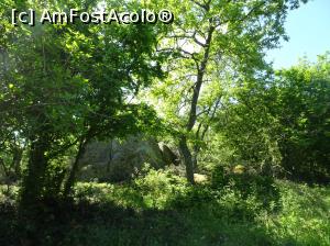 [P58] Sanctuarul tracic Beglik Taş - prin pădure » foto by nicole33
 - 
<span class="allrVoted glyphicon glyphicon-heart hidden" id="av964359"></span>
<a class="m-l-10 hidden" id="sv964359" onclick="voting_Foto_DelVot(,964359,9723)" role="button">șterge vot <span class="glyphicon glyphicon-remove"></span></a>
<a id="v9964359" class=" c-red"  onclick="voting_Foto_SetVot(964359)" role="button"><span class="glyphicon glyphicon-heart-empty"></span> <b>LIKE</b> = Votează poza</a> <img class="hidden"  id="f964359W9" src="/imagini/loader.gif" border="0" /><span class="AjErrMes hidden" id="e964359ErM"></span>