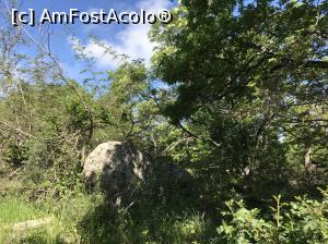 [P73] Sanctuarul tracic Beglik Taş - prin pădure » foto by nicole33
 - 
<span class="allrVoted glyphicon glyphicon-heart hidden" id="av964374"></span>
<a class="m-l-10 hidden" id="sv964374" onclick="voting_Foto_DelVot(,964374,9723)" role="button">șterge vot <span class="glyphicon glyphicon-remove"></span></a>
<a id="v9964374" class=" c-red"  onclick="voting_Foto_SetVot(964374)" role="button"><span class="glyphicon glyphicon-heart-empty"></span> <b>LIKE</b> = Votează poza</a> <img class="hidden"  id="f964374W9" src="/imagini/loader.gif" border="0" /><span class="AjErrMes hidden" id="e964374ErM"></span>