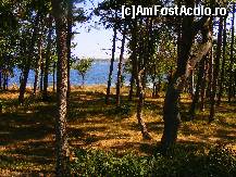 [P10] parcul oraşului Ţarevo se sfârşeşte brusc pe faleza înaltă şi stâncoasă » foto by vasilica
 - 
<span class="allrVoted glyphicon glyphicon-heart hidden" id="av397353"></span>
<a class="m-l-10 hidden" id="sv397353" onclick="voting_Foto_DelVot(,397353,9723)" role="button">șterge vot <span class="glyphicon glyphicon-remove"></span></a>
<a id="v9397353" class=" c-red"  onclick="voting_Foto_SetVot(397353)" role="button"><span class="glyphicon glyphicon-heart-empty"></span> <b>LIKE</b> = Votează poza</a> <img class="hidden"  id="f397353W9" src="/imagini/loader.gif" border="0" /><span class="AjErrMes hidden" id="e397353ErM"></span>