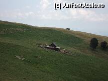 [P04] stana la care am poposit » foto by mh_iulia
 - 
<span class="allrVoted glyphicon glyphicon-heart hidden" id="av239275"></span>
<a class="m-l-10 hidden" id="sv239275" onclick="voting_Foto_DelVot(,239275,9730)" role="button">șterge vot <span class="glyphicon glyphicon-remove"></span></a>
<a id="v9239275" class=" c-red"  onclick="voting_Foto_SetVot(239275)" role="button"><span class="glyphicon glyphicon-heart-empty"></span> <b>LIKE</b> = Votează poza</a> <img class="hidden"  id="f239275W9" src="/imagini/loader.gif" border="0" /><span class="AjErrMes hidden" id="e239275ErM"></span>
