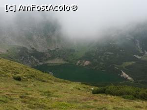 [P14] Lacul Verde al Cindrelului » foto by Mika
 - 
<span class="allrVoted glyphicon glyphicon-heart hidden" id="av1244320"></span>
<a class="m-l-10 hidden" id="sv1244320" onclick="voting_Foto_DelVot(,1244320,9730)" role="button">șterge vot <span class="glyphicon glyphicon-remove"></span></a>
<a id="v91244320" class=" c-red"  onclick="voting_Foto_SetVot(1244320)" role="button"><span class="glyphicon glyphicon-heart-empty"></span> <b>LIKE</b> = Votează poza</a> <img class="hidden"  id="f1244320W9" src="/imagini/loader.gif" border="0" /><span class="AjErrMes hidden" id="e1244320ErM"></span>