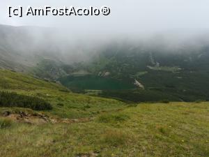 [P15] Lacul Verde al Cindrelului » foto by Mika
 - 
<span class="allrVoted glyphicon glyphicon-heart hidden" id="av1244321"></span>
<a class="m-l-10 hidden" id="sv1244321" onclick="voting_Foto_DelVot(,1244321,9730)" role="button">șterge vot <span class="glyphicon glyphicon-remove"></span></a>
<a id="v91244321" class=" c-red"  onclick="voting_Foto_SetVot(1244321)" role="button"><span class="glyphicon glyphicon-heart-empty"></span> <b>LIKE</b> = Votează poza</a> <img class="hidden"  id="f1244321W9" src="/imagini/loader.gif" border="0" /><span class="AjErrMes hidden" id="e1244321ErM"></span>