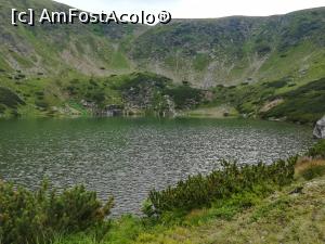[P17] Lacul Verde al Cindrelului » foto by Mika
 - 
<span class="allrVoted glyphicon glyphicon-heart hidden" id="av1244323"></span>
<a class="m-l-10 hidden" id="sv1244323" onclick="voting_Foto_DelVot(,1244323,9730)" role="button">șterge vot <span class="glyphicon glyphicon-remove"></span></a>
<a id="v91244323" class=" c-red"  onclick="voting_Foto_SetVot(1244323)" role="button"><span class="glyphicon glyphicon-heart-empty"></span> <b>LIKE</b> = Votează poza</a> <img class="hidden"  id="f1244323W9" src="/imagini/loader.gif" border="0" /><span class="AjErrMes hidden" id="e1244323ErM"></span>