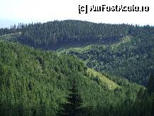 [P02] Oriunde aici te simti mai aproape de cer...Si totul in jur este verde... » foto by aishor
 - 
<span class="allrVoted glyphicon glyphicon-heart hidden" id="av104317"></span>
<a class="m-l-10 hidden" id="sv104317" onclick="voting_Foto_DelVot(,104317,9730)" role="button">șterge vot <span class="glyphicon glyphicon-remove"></span></a>
<a id="v9104317" class=" c-red"  onclick="voting_Foto_SetVot(104317)" role="button"><span class="glyphicon glyphicon-heart-empty"></span> <b>LIKE</b> = Votează poza</a> <img class="hidden"  id="f104317W9" src="/imagini/loader.gif" border="0" /><span class="AjErrMes hidden" id="e104317ErM"></span>