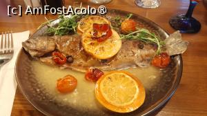 [P20] pastrav cu sos de vin si rosii cherry la cuptor » foto by Yolanda
 - 
<span class="allrVoted glyphicon glyphicon-heart hidden" id="av1507883"></span>
<a class="m-l-10 hidden" id="sv1507883" onclick="voting_Foto_DelVot(,1507883,9747)" role="button">șterge vot <span class="glyphicon glyphicon-remove"></span></a>
<a id="v91507883" class=" c-red"  onclick="voting_Foto_SetVot(1507883)" role="button"><span class="glyphicon glyphicon-heart-empty"></span> <b>LIKE</b> = Votează poza</a> <img class="hidden"  id="f1507883W9" src="/imagini/loader.gif" border="0" /><span class="AjErrMes hidden" id="e1507883ErM"></span>