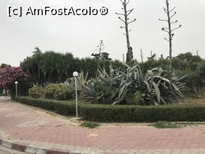 [P20] Un prânz OK la Le Phénix de Carthage - împrejurimi » foto by nicole33
 - 
<span class="allrVoted glyphicon glyphicon-heart hidden" id="av1183817"></span>
<a class="m-l-10 hidden" id="sv1183817" onclick="voting_Foto_DelVot(,1183817,9748)" role="button">șterge vot <span class="glyphicon glyphicon-remove"></span></a>
<a id="v91183817" class=" c-red"  onclick="voting_Foto_SetVot(1183817)" role="button"><span class="glyphicon glyphicon-heart-empty"></span> <b>LIKE</b> = Votează poza</a> <img class="hidden"  id="f1183817W9" src="/imagini/loader.gif" border="0" /><span class="AjErrMes hidden" id="e1183817ErM"></span>