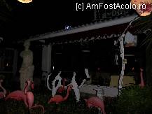 [P05] Ce ar putea avea in comun numele restaurantului Ta-boo  cu statuia zeitei Venus , cu pasarile flamingo si cu vacuta baltata roaneasca ? Cred ca s-ar putea numi 'peisaj eclectic ' a la tunisienne . » foto by ileana45
 - 
<span class="allrVoted glyphicon glyphicon-heart hidden" id="av238823"></span>
<a class="m-l-10 hidden" id="sv238823" onclick="voting_Foto_DelVot(,238823,9748)" role="button">șterge vot <span class="glyphicon glyphicon-remove"></span></a>
<a id="v9238823" class=" c-red"  onclick="voting_Foto_SetVot(238823)" role="button"><span class="glyphicon glyphicon-heart-empty"></span> <b>LIKE</b> = Votează poza</a> <img class="hidden"  id="f238823W9" src="/imagini/loader.gif" border="0" /><span class="AjErrMes hidden" id="e238823ErM"></span>