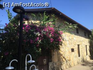 [P15] Case vechi si flori frumoase.  » foto by mishu
 - 
<span class="allrVoted glyphicon glyphicon-heart hidden" id="av1014214"></span>
<a class="m-l-10 hidden" id="sv1014214" onclick="voting_Foto_DelVot(,1014214,9765)" role="button">șterge vot <span class="glyphicon glyphicon-remove"></span></a>
<a id="v91014214" class=" c-red"  onclick="voting_Foto_SetVot(1014214)" role="button"><span class="glyphicon glyphicon-heart-empty"></span> <b>LIKE</b> = Votează poza</a> <img class="hidden"  id="f1014214W9" src="/imagini/loader.gif" border="0" /><span class="AjErrMes hidden" id="e1014214ErM"></span>