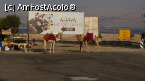 [P34] Taxiuri cu tractiune animala.  » foto by Mena
 - 
<span class="allrVoted glyphicon glyphicon-heart hidden" id="av861409"></span>
<a class="m-l-10 hidden" id="sv861409" onclick="voting_Foto_DelVot(,861409,9765)" role="button">șterge vot <span class="glyphicon glyphicon-remove"></span></a>
<a id="v9861409" class=" c-red"  onclick="voting_Foto_SetVot(861409)" role="button"><span class="glyphicon glyphicon-heart-empty"></span> <b>LIKE</b> = Votează poza</a> <img class="hidden"  id="f861409W9" src="/imagini/loader.gif" border="0" /><span class="AjErrMes hidden" id="e861409ErM"></span>