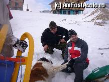 [P05] Acordam ,,prim autor' unui Saint-Bernard, nu el noua! :)) » foto by villie71
 - 
<span class="allrVoted glyphicon glyphicon-heart hidden" id="av305254"></span>
<a class="m-l-10 hidden" id="sv305254" onclick="voting_Foto_DelVot(,305254,9768)" role="button">șterge vot <span class="glyphicon glyphicon-remove"></span></a>
<a id="v9305254" class=" c-red"  onclick="voting_Foto_SetVot(305254)" role="button"><span class="glyphicon glyphicon-heart-empty"></span> <b>LIKE</b> = Votează poza</a> <img class="hidden"  id="f305254W9" src="/imagini/loader.gif" border="0" /><span class="AjErrMes hidden" id="e305254ErM"></span>