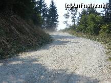 [P10] Drumul spre Cheile Gradistei- Fundata » foto by Romeo2011
 - 
<span class="allrVoted glyphicon glyphicon-heart hidden" id="av255871"></span>
<a class="m-l-10 hidden" id="sv255871" onclick="voting_Foto_DelVot(,255871,9768)" role="button">șterge vot <span class="glyphicon glyphicon-remove"></span></a>
<a id="v9255871" class=" c-red"  onclick="voting_Foto_SetVot(255871)" role="button"><span class="glyphicon glyphicon-heart-empty"></span> <b>LIKE</b> = Votează poza</a> <img class="hidden"  id="f255871W9" src="/imagini/loader.gif" border="0" /><span class="AjErrMes hidden" id="e255871ErM"></span>